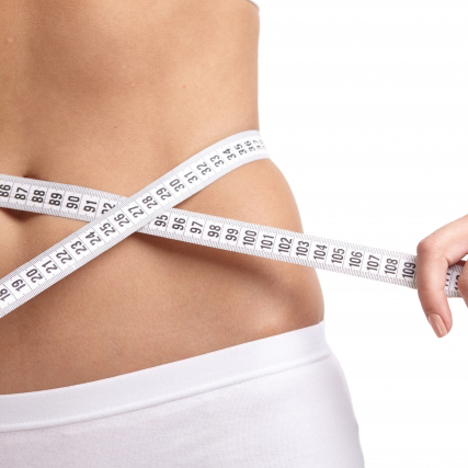 ねこぶだし 通販,ねこぶだし 人気,ねこぶだし 北海道